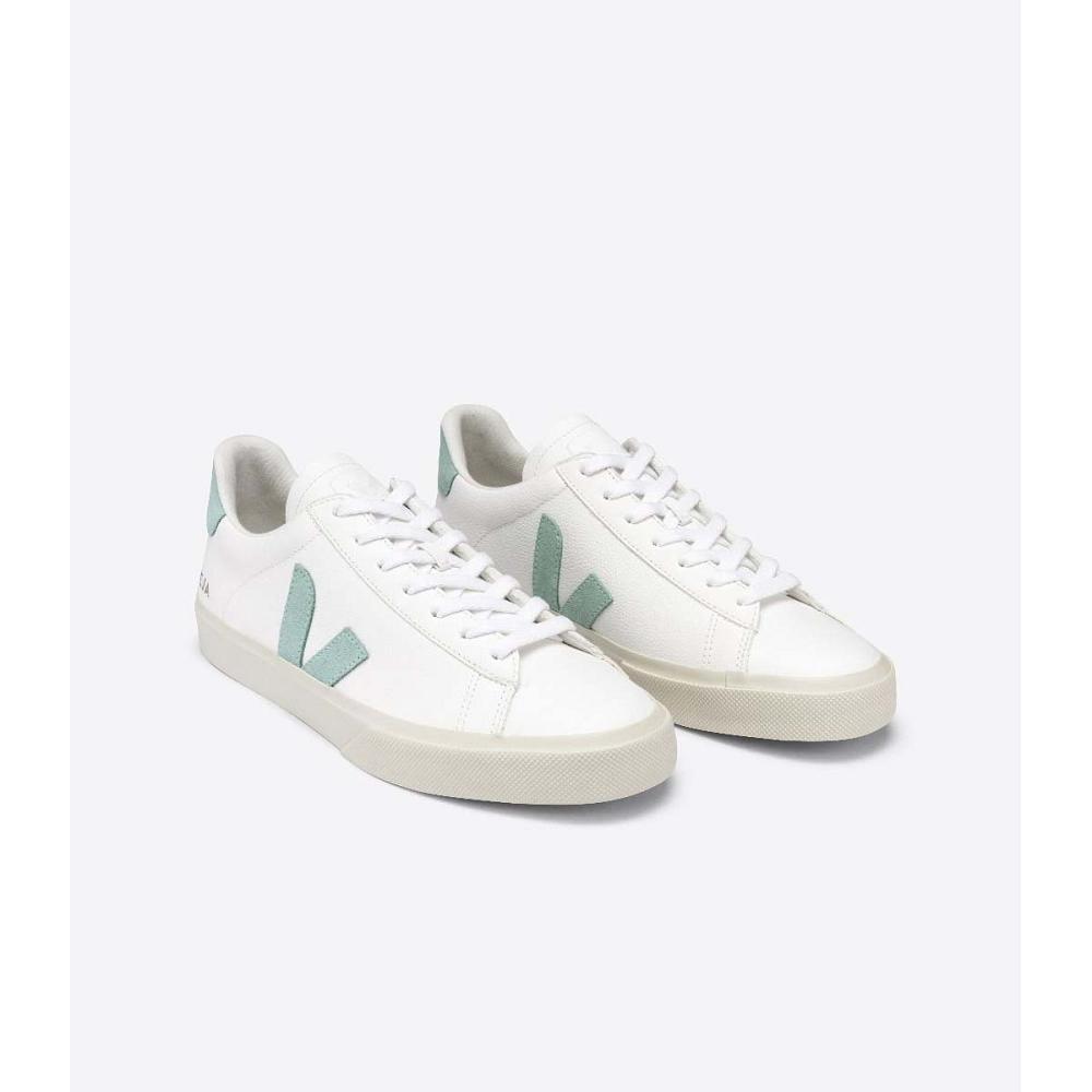 White/Green Men's Veja CAMPO CHROMEFREE Low Tops Sneakers | AU 196NWY